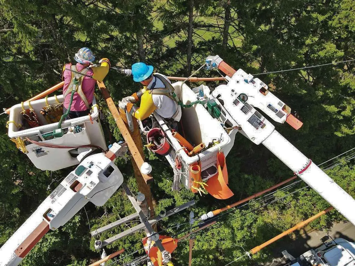 Two utility workers in hard hats and safety harnesses are working on power lines from separate elevated bucket trucks high above a tree canopy.