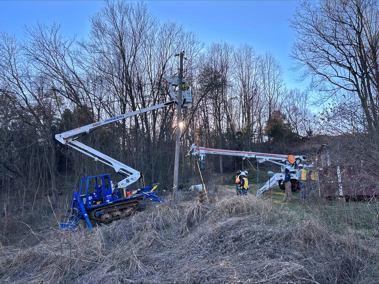 two cranes in a field