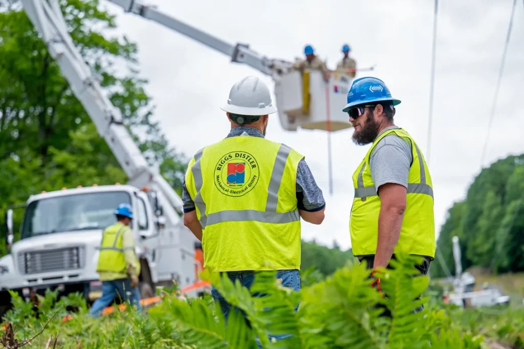 Riggsdistler Tz6 9389 1134x755