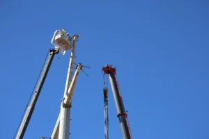 Riggsdistler 20251021 Lg6a5511 1500x1000