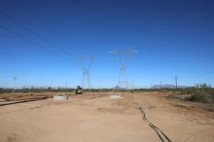 Riggsdistler 20251021 Lg6a5533 1500x1000