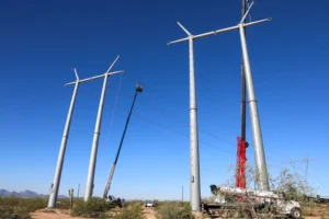 Riggsdistler 20251021 Lg6a5540 1500x1000