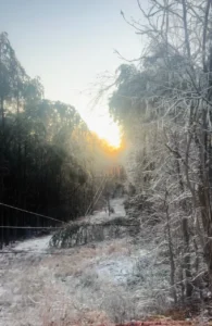 Sc Ice Storm 1.2026