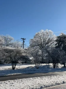 Winter Storm Fern 01.2026 (3)
